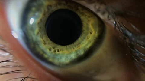 Dilating eye pupil Stock Footage 87654131