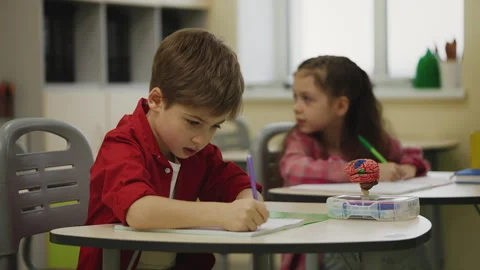 Diligent elementary school pupils taking notes during classroom lesson Stock Footage 335681052