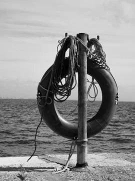 The Diligent Life Preserver 写真素材