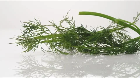 Dill Bouncing Slow Motion White Tabletop Closeup Macro Food Studio Stock Footage 335005357