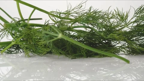 Dill Bouncing Slow Motion White Tabletop Closeup Macro Food Studio Stock Footage 335005391