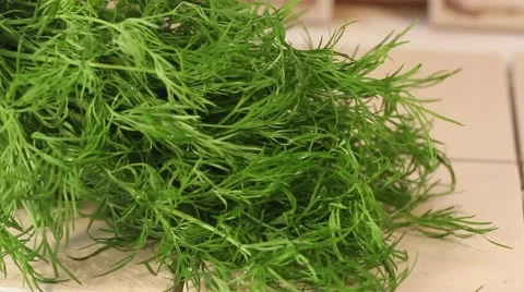 Dill close-up hand, kitchen green Stock Footage 62191744