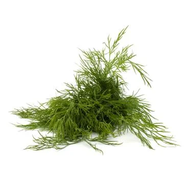Dill close up Stock Photos