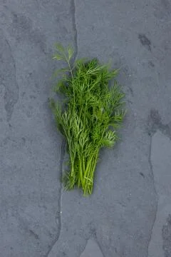 Dill on cutting board Stock Photos