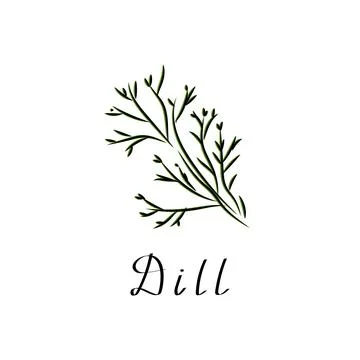 Dill flat vector illustration. Plant herb cartoon logo. Simple bunch of dill Stock Illustration