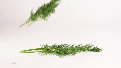 Dill gracefully falls onto a table surface in slow motion Stockbeeldmateriaal 305662823