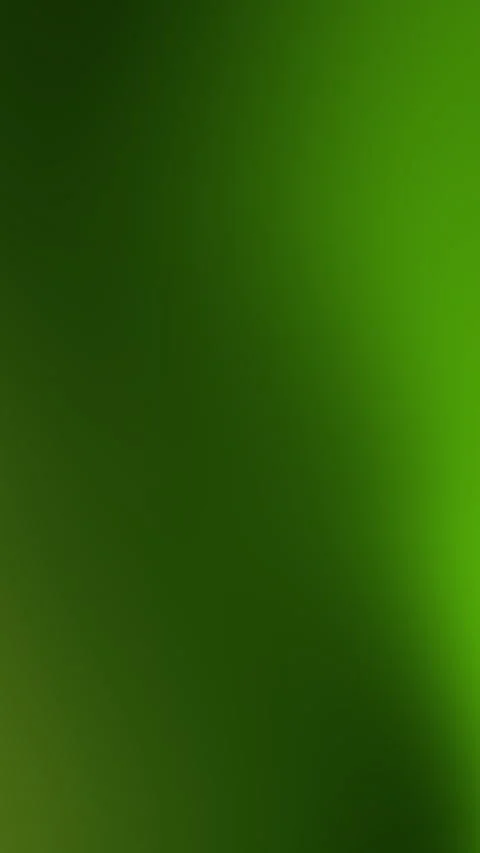 Dill green background. Stock Footage 301521744