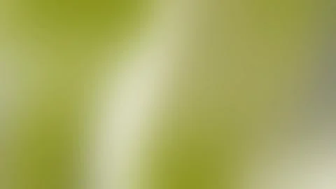 Dill Green UI Background Animation Loop for Tech Products, Web Design 動画素材 306831529