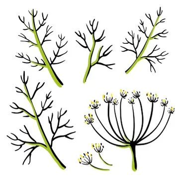Dill. Hand drawn vector vegetable icons Stock Illustration