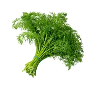 Dill isolated Stock Photos