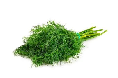 Dill isolated on white background. Stock Photos