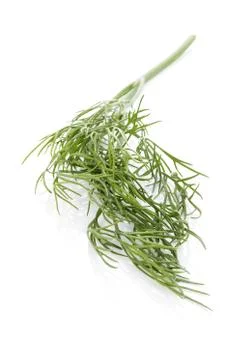 Dill isolated on white. Stock Photos