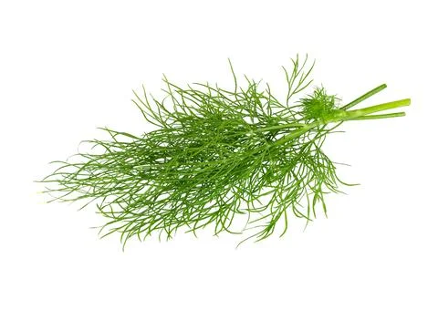 Dill isolated on white. Stock Photos