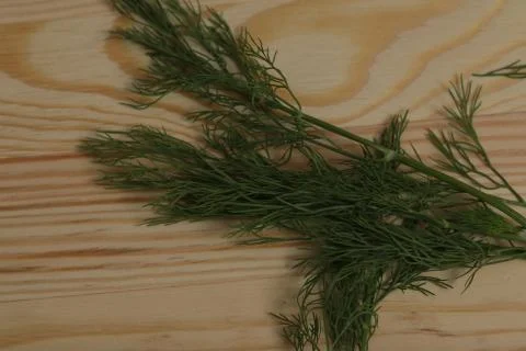 Dill leaf on wood table Stock Photos