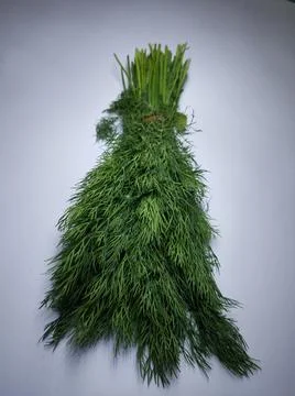 Dill leaves Stock Photos