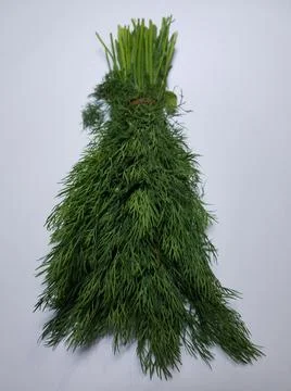 Dill leaves Stock Photos