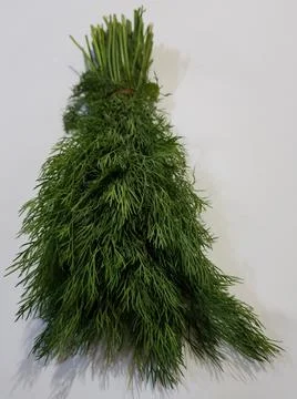 Dill leaves Stock Photos