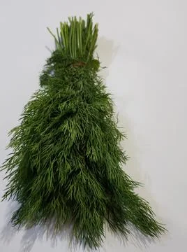 Dill leaves Stock Photos