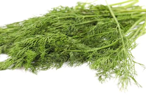 Dill Stock Photos
