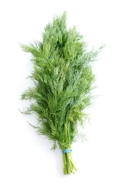 Dill Stock Photos