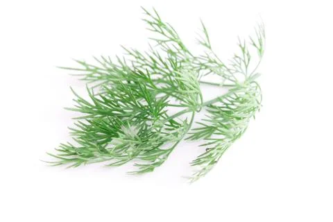 Dill Stock Photos