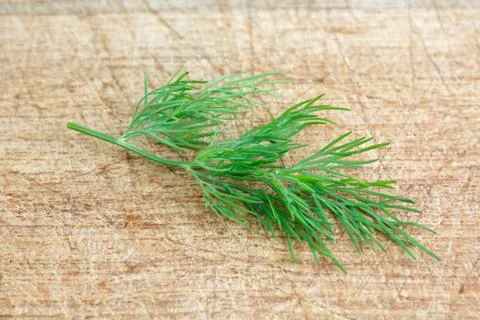 Dill Stock Photos