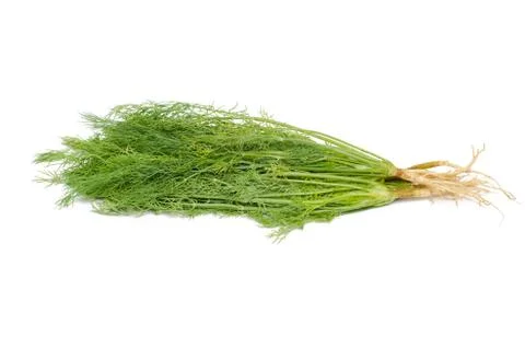 Dill Stock Photos