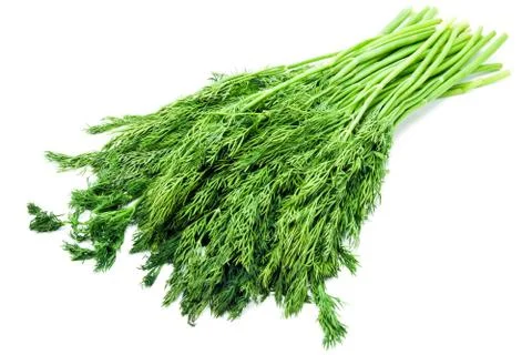 Dill Stock Photos
