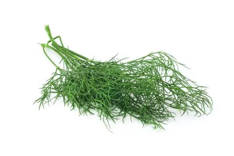 Dill Stock Photos