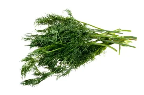 Dill Stock Photos