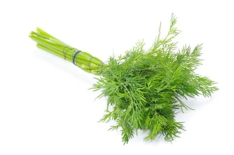 Dill Stock Photos
