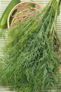 Dill Stock Photos