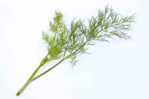 Dill Stock Photos