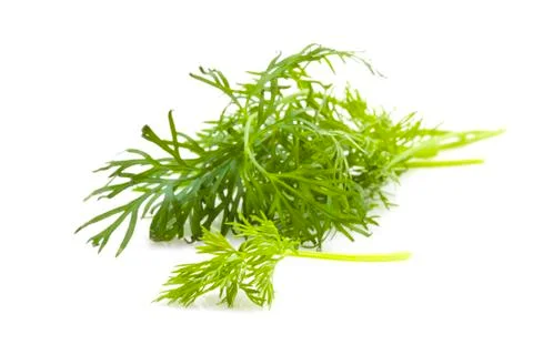 Dill Stock Photos