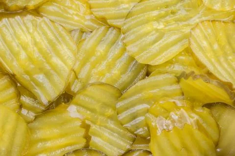 Dill pickle slices for use as a background. Stock Photos