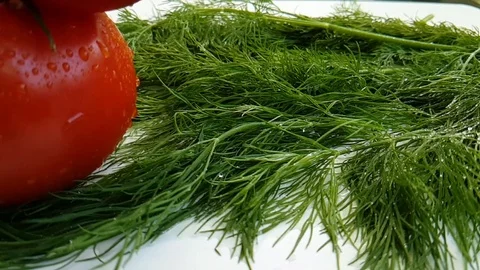 Dill red tomato drops   wet Video stock 88352683