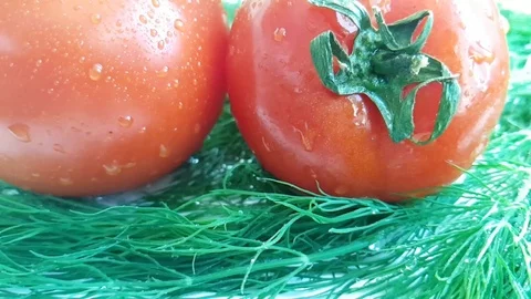 Dill red tomato wet on white background motion drops spray healthy food Stock Footage 88352673