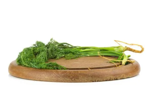 Dill with Roots Isolated on White Background Stock Photos