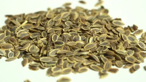 Dill Seed, Macro Shot Seed, Organic Dill Seed Stock Footage 153177979