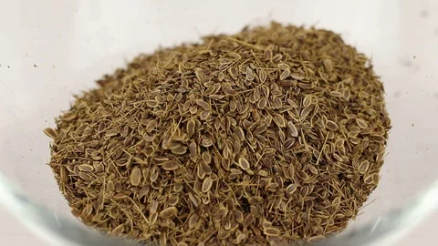 Dill seeds fall Stock Footage 123526659
