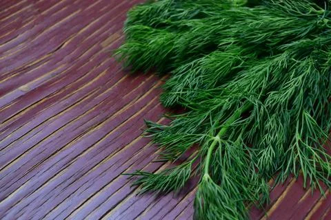 Dill sprigs Stock Photos