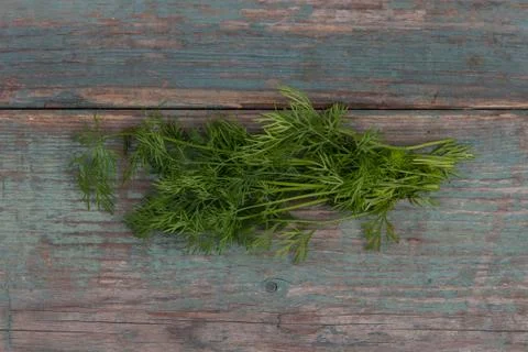 Dill on table Stock Photos