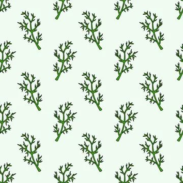Dill twigs Herbs seamless pattern. Kitchen endless background Stock Illustration