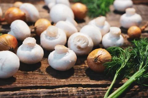 Dill, vegetables and small champignons Stock Photos