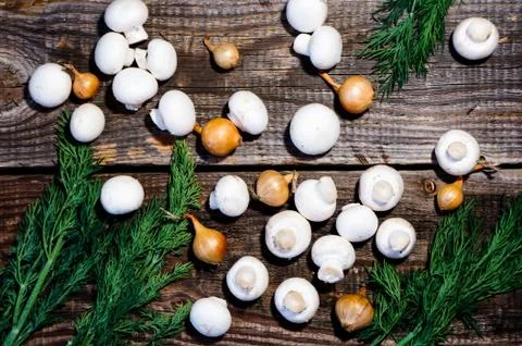 Dill, vegetables and small champignons Stock Photos
