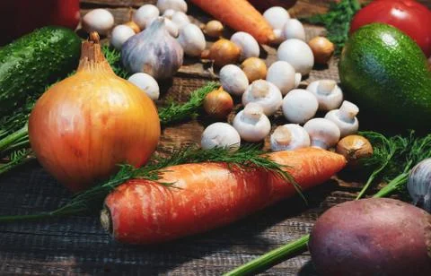 Dill, vegetables and small champignons Stock Photos