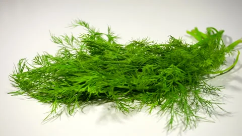 Dill on a white background, approaching Stock Footage 131467832