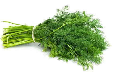 Dill on white background Stock Photos