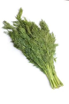 Dill on white background Stock Photos