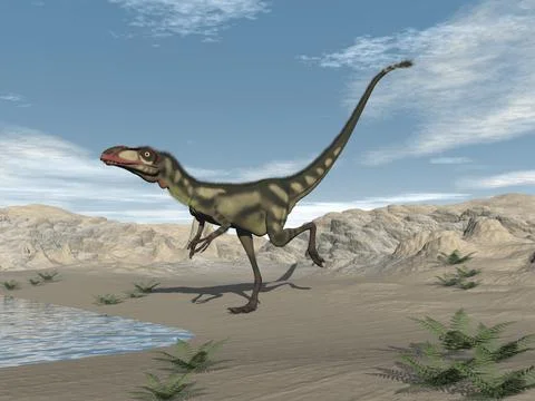 Dilong dinosaur in the desert - 3D render Stock Illustration